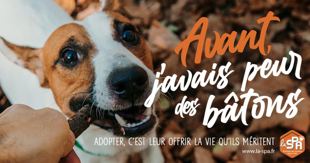 animaux-spa