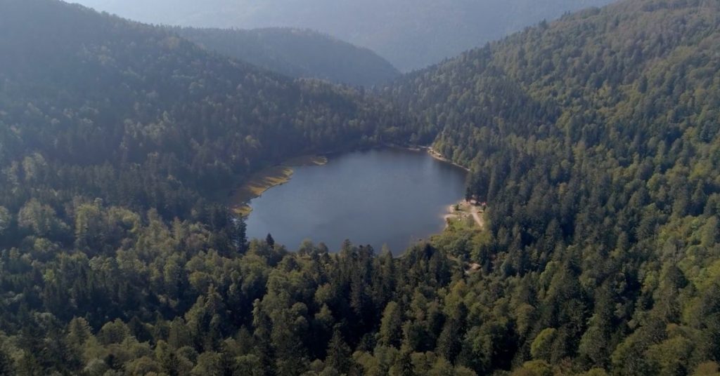 foret-lac-photo-vosges