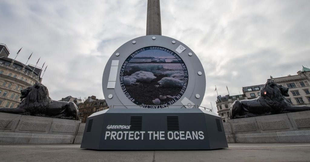 portail-antarctique-sensibilisation-écologie-préservation-espèces-greenpeace