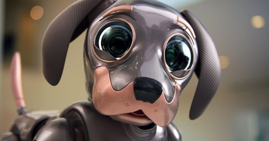 chien-robot-robo-dog-kia