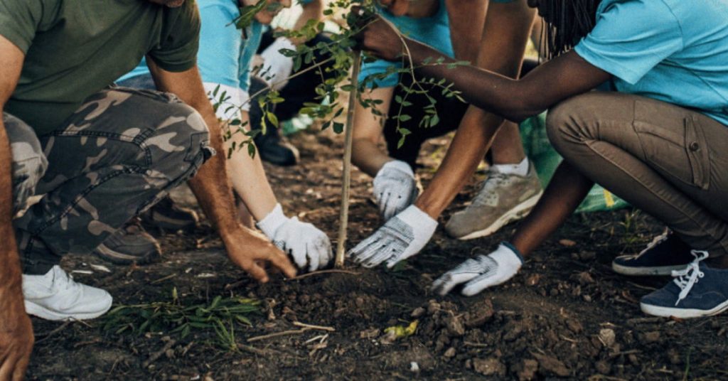 nature-engagement-equipe-marque-rse-positionnement