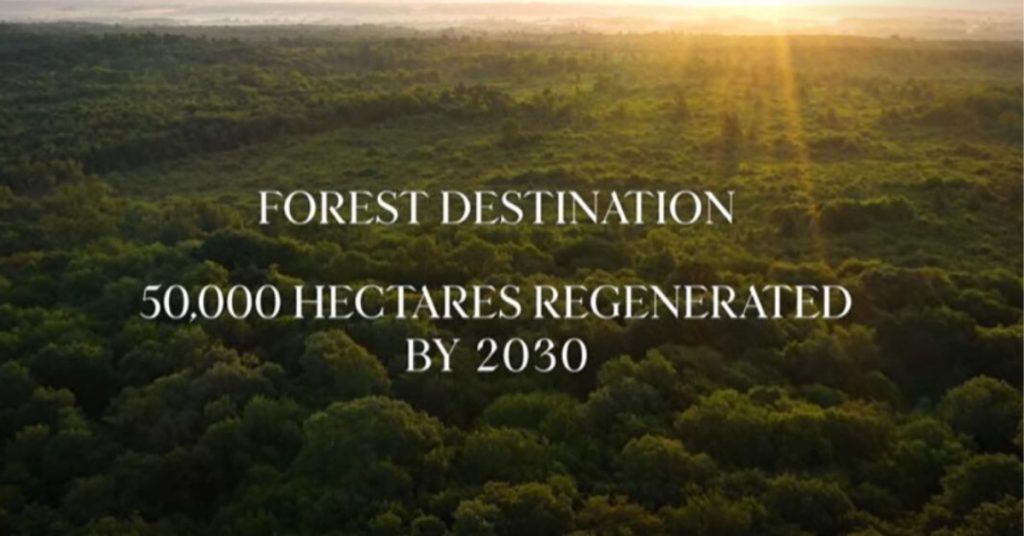 Hennessy-lance-programme-Forest-Destination-programme-reforestation