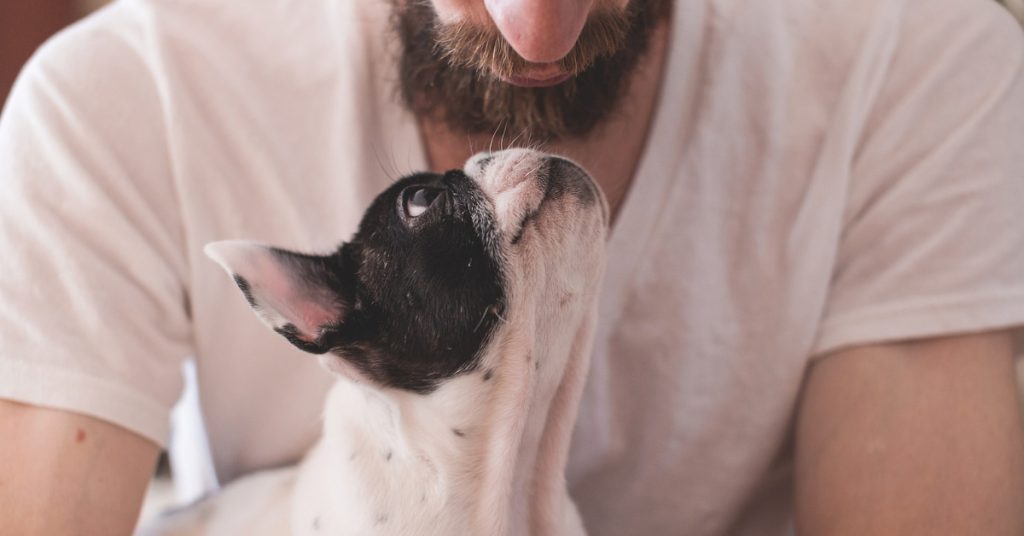 pop-up-store-salon-chien-maitre-londres