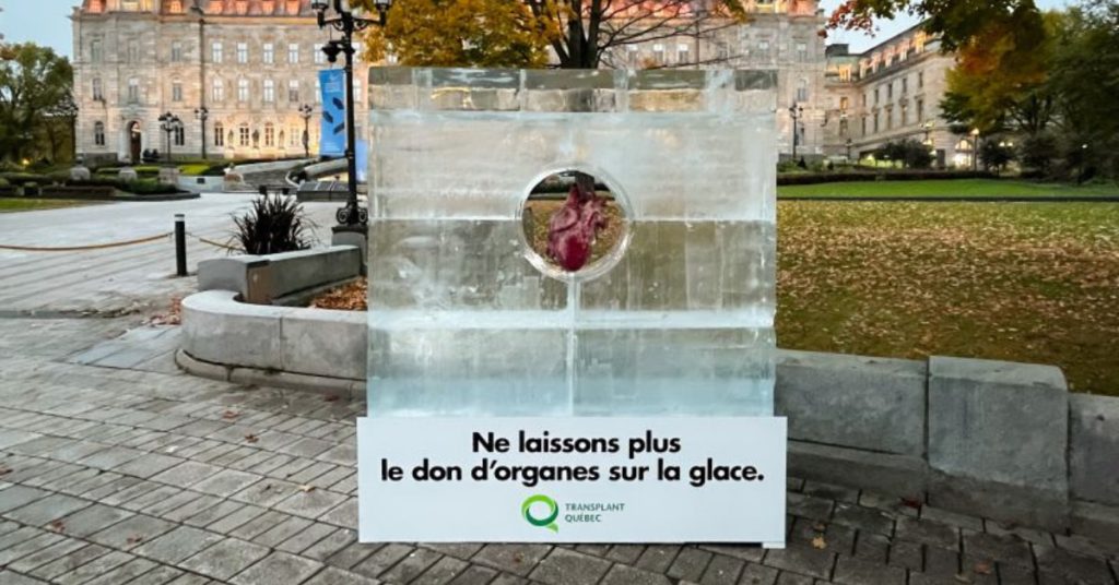 transplant-quebec-installation-ephemere-glace-coeur-don-organes