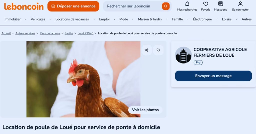 josiane-fermiers-de-loue-location-poule