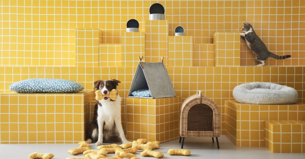 nouvelle-collection-utsadd-animaux-compagnie-ikea-the-pet-shopping-network-live-tiktok