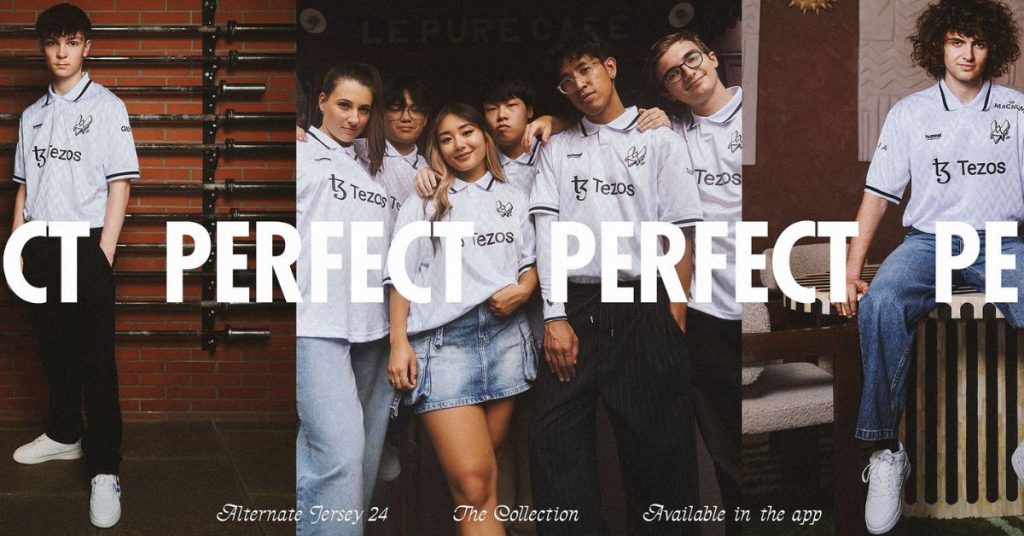 team-vitality-hummel-collection-perfect