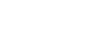 Levi Strauss & Co.