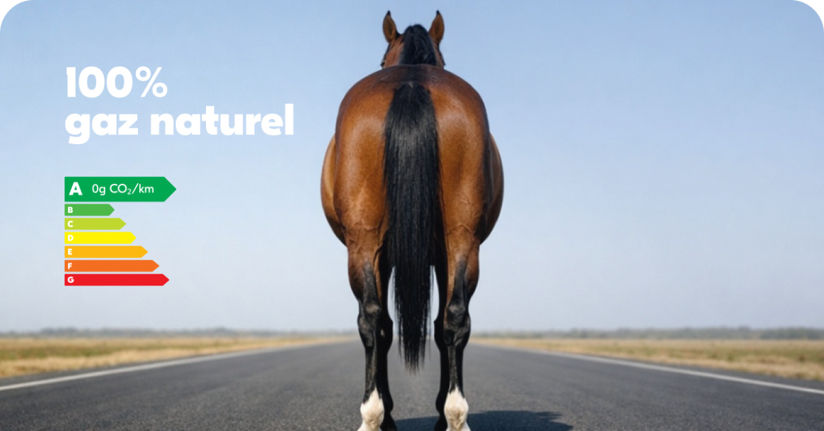 blablacar-lance-blablaponey-1er-avril