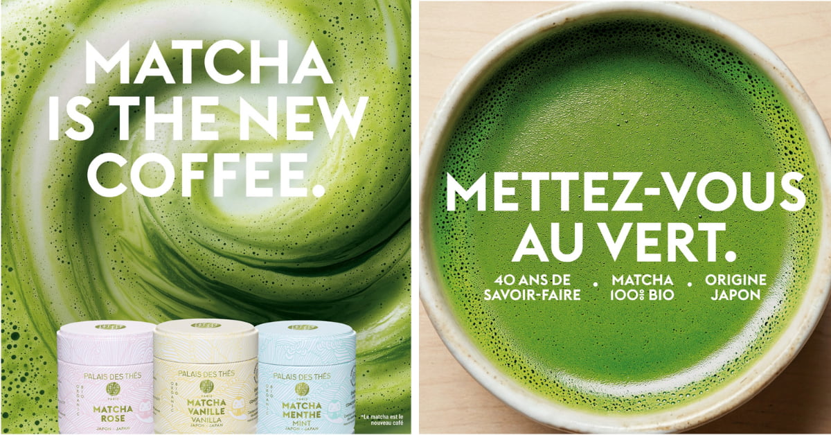 jupdlc-matcha-brainsonic