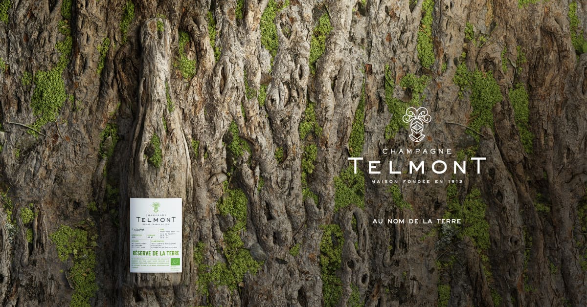 jupdlc-ludovic-du-plessis-champagne-telmont-transformation-ecologique