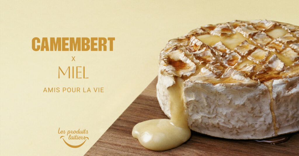 jupdlc-brainsonic-camembert