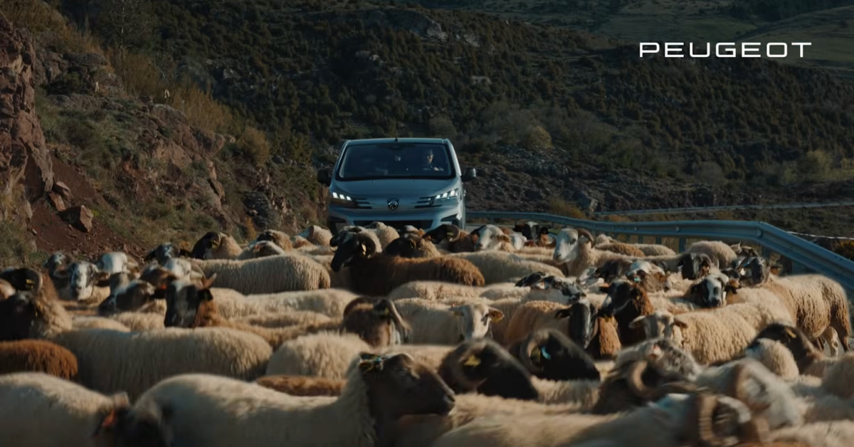jupdlc-peugeot-pros-quotidien