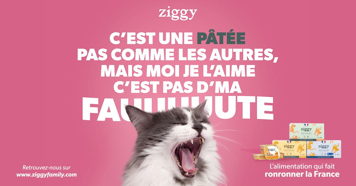 jupdlc-celine-dion-ziggy-concerts