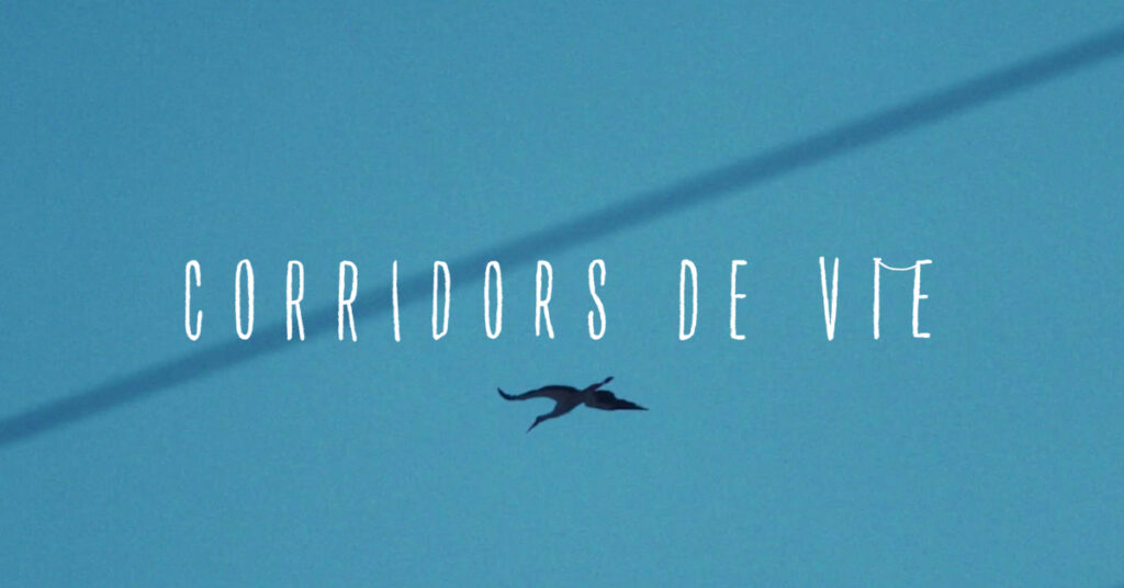 jupdlc-enedis-protege-les-oiseaux-migrateurs-corridors-vie