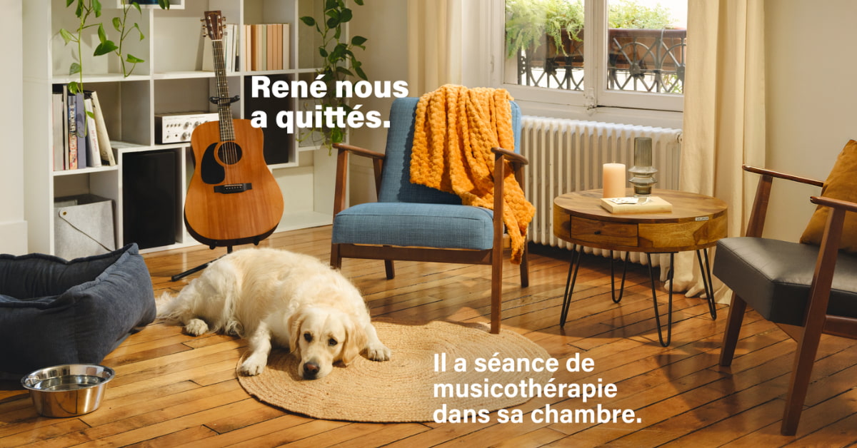 jupdlc-socialy-campagne-helebor-partis-trop-tot